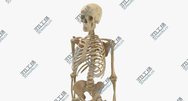 images/goods_img/20210312/Real Human Woman Skeleton Bones Anatomy 01 model/4.jpg